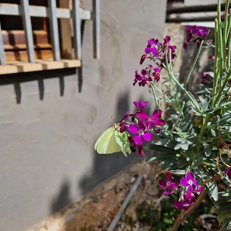 Casa Atzeni - Your Relaxation Surrounded By Nature Villacidro
