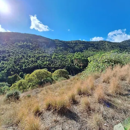 Casa Atzeni - Your Relaxation Surrounded By Nature Villacidro